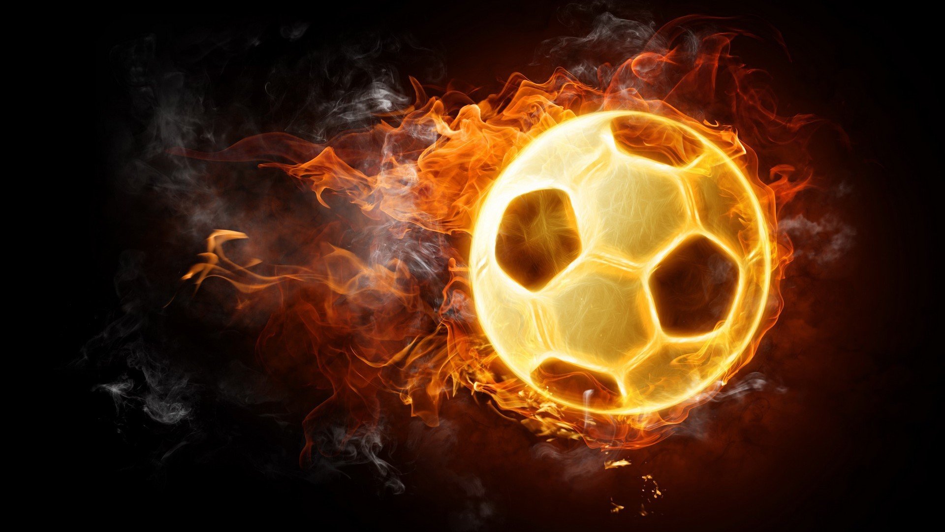 德国马术协会举办国际马术科技大会,推动行业技术交流与合作。